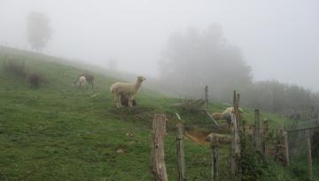 Camino del Norte - Der Küstenweg