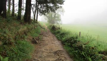 Camino del Norte - Der Küstenweg