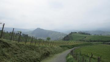 Camino del Norte - Der Küstenweg