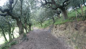 Camino del Norte - Der Küstenweg