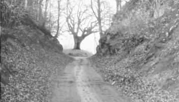 Historische Grenze oder die schönsten Grenzwanderwege ...