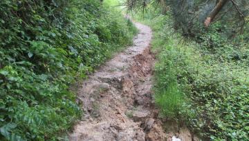 Camino del Norte - Der Küstenweg