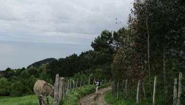 Camino del Norte - Der Küstenweg