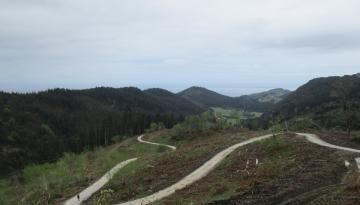 Camino del Norte - Der Küstenweg