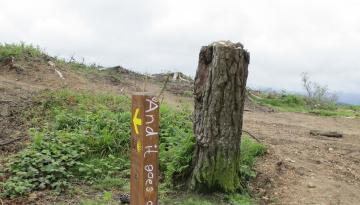 Camino del Norte - Der Küstenweg