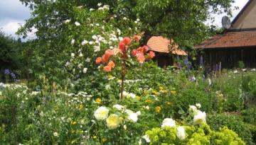 Herzlich Willkommen zum Dorffest am Samstag, den 25.07.2015
