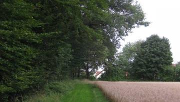 Der wandernde Mann ohne Kopf ...