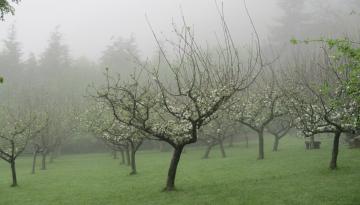 Camino del Norte - Der Küstenweg