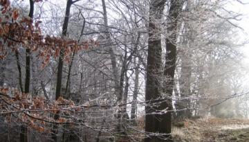 Der wandernde Mann ohne Kopf ...