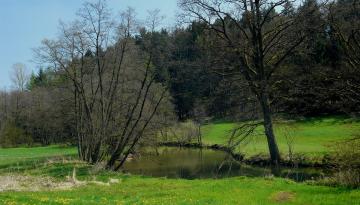 Die verschwundene Burg Hohenrasch nahe Gspannberg