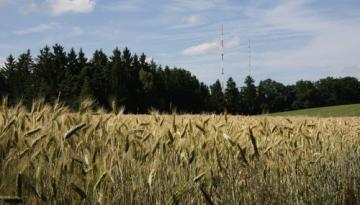 Kaltenbachquelle nahe Hausheim zu neuem Leben erweckt