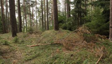 Die verschwundene Burg Hohenrasch nahe Gspannberg