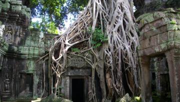 Kambodscha - Khmer: ព្រះរាជាណាចក្រកម្ពុជា, Preăh Réachéanachâk Kâmpŭchéa