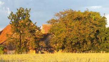 Herzlich Willkommen zum Dorffest am Samstag, den 25.07.2015