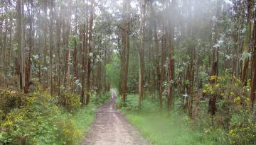 Camino del Norte - Der Küstenweg