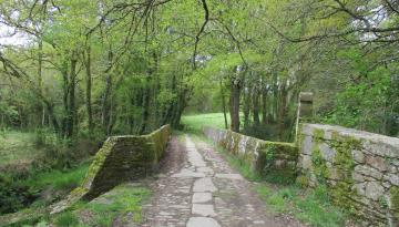 Camino del Norte - Der Küstenweg