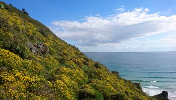 Camino del Norte - Der Küstenweg