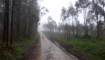 Camino del Norte - Der Küstenweg