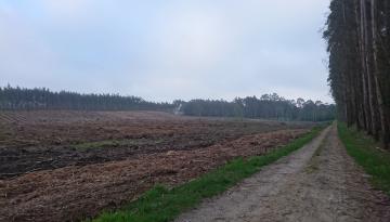 Camino del Norte - Der Küstenweg