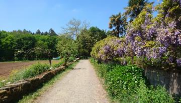 Camino del Norte - Der Küstenweg