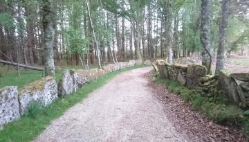 Camino del Norte - Der Küstenweg