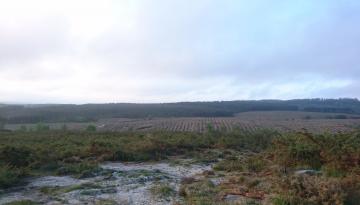 Camino del Norte - Der Küstenweg