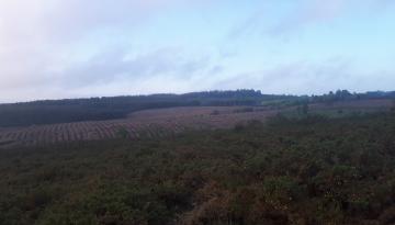 Camino del Norte - Der Küstenweg