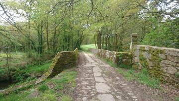 Camino del Norte - Der Küstenweg