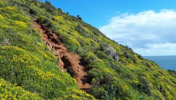 Camino del Norte - Der Küstenweg