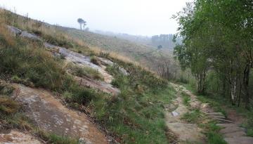 Camino del Norte - Der Küstenweg