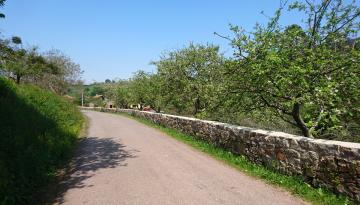 Camino del Norte - Der Küstenweg