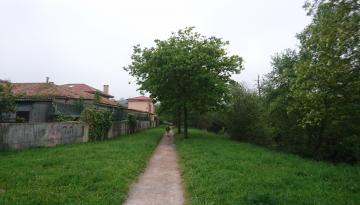 Camino del Norte - Der Küstenweg