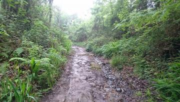 Camino del Norte - Der Küstenweg