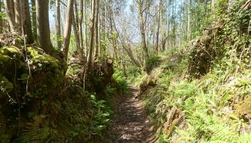 Camino del Norte - Der Küstenweg