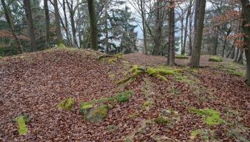 Die verschwundene Burg Hohenrasch nahe Gspannberg