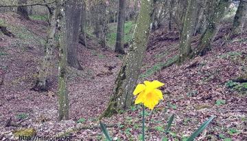 Historische Grenze oder die schönsten Grenzwanderwege ...