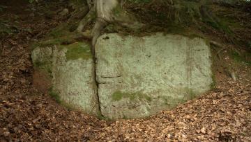 Die verschwundene Burg Hohenrasch nahe Gspannberg