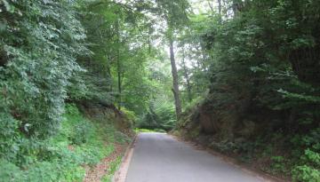 Der Hohlweg in Gspannberg an der Rascher Straße ...