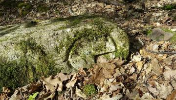 Historische Grenze oder die schönsten Grenzwanderwege ...