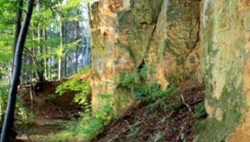 Kaltenbachquelle nahe Hausheim zu neuem Leben erweckt