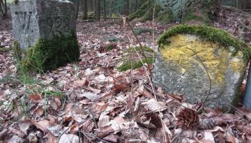 Historische Grenze oder die schönsten Grenzwanderwege ...