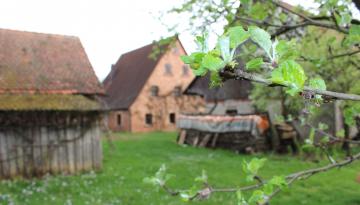 Herzlich Willkommen zum Dorffest am Samstag, den 25.07.2015