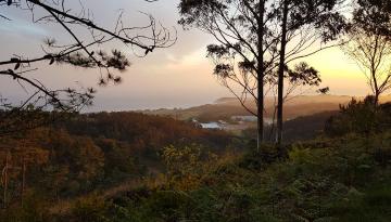 Camino del Norte - Der Küstenweg