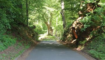 Historische Grenze oder die schönsten Grenzwanderwege ...