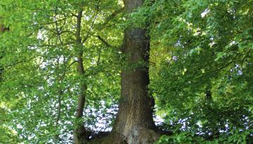 Historische Grenze oder die schönsten Grenzwanderwege ...