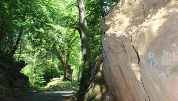 Historische Grenze oder die schönsten Grenzwanderwege ...