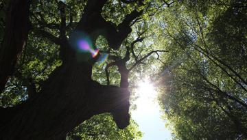 Historische Grenze oder die schönsten Grenzwanderwege ...