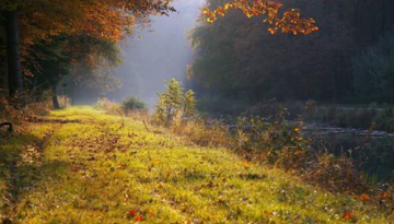 Patenstrecke am Fünf Flüsse Radweg