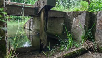 Grundablaß Gspannberg am alten Kanal