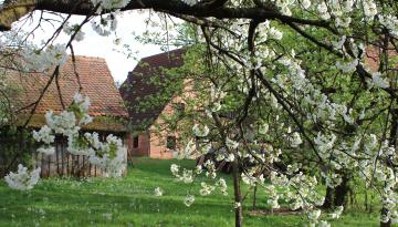 Grundablaß Gspannberg am alten Kanal